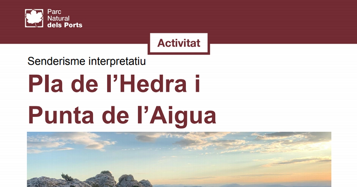 Senderisme interpretatiu: Pla de l’Hedra i Punta de l’Aigua Senderisme interpretatiu: Pla de l’Hedra i Punta de l’Aigua