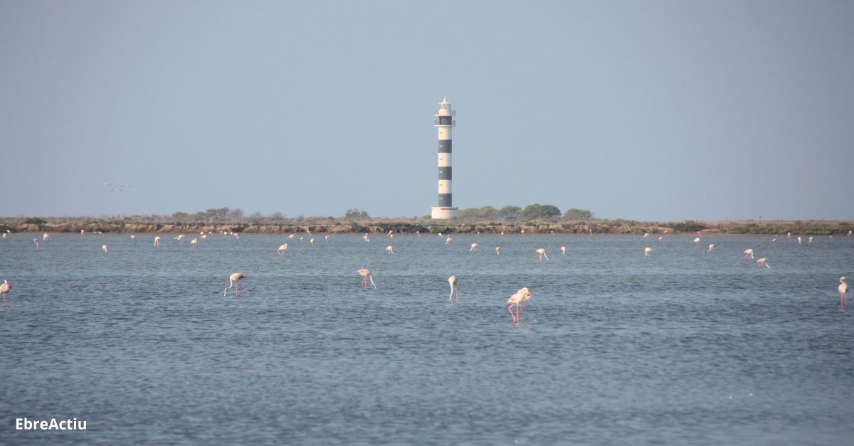 La reserva de la biosfera de les Terres de l’Ebre encarregar un pla de mrqueting per rellanar la marca