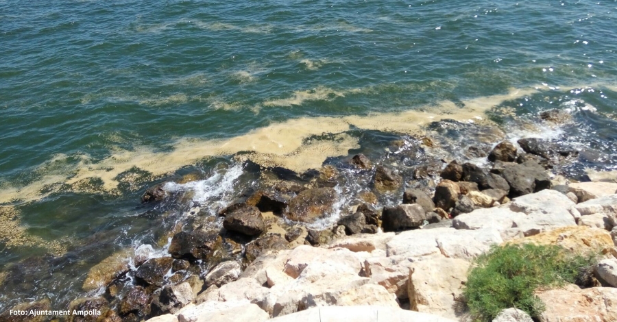 L&rsquo;Ajuntament de l&rsquo;Ampolla engega una campanya informativa sobre el fons mar� de la costa del municipi | EbreActiu.cat, revista digital d&rsquo;oci actiu | Terres de l&rsquo;Ebre ...