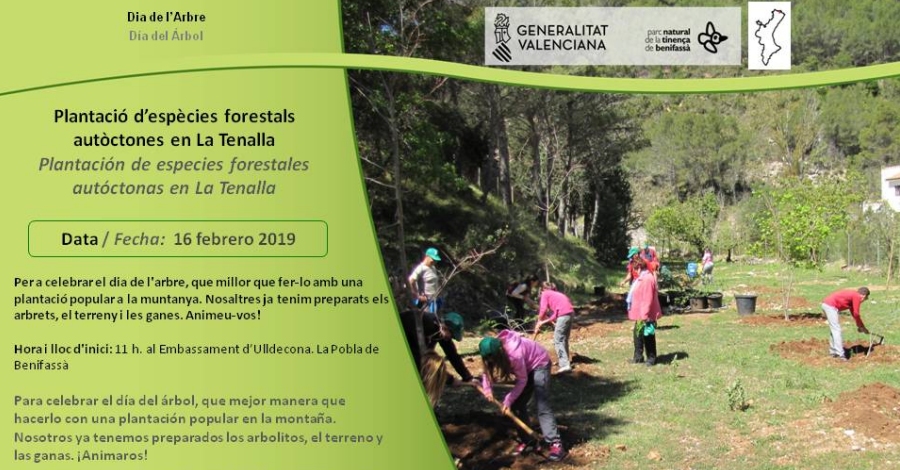 Plantaci�n de especies forestales aut�ctonas en la Tenalla