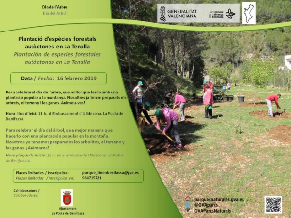 Plantaci� d�esp�cies forestals aut�ctones en la Tenalla