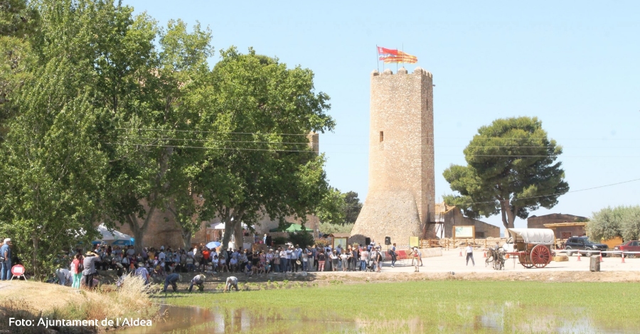 Festa de la Plantada de lArrs de lAldea