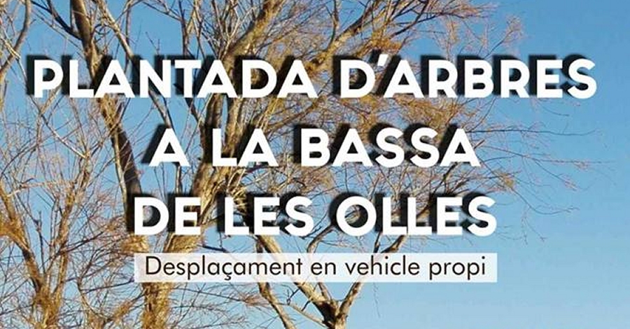Plantada d&rsquo;arbres a la Bassa de les Olles
