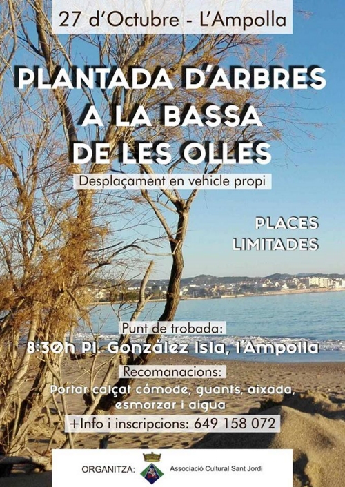 Plantada d&rsquo;arbres a la Bassa de les Olles