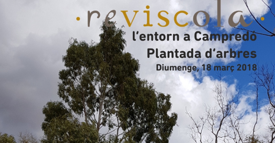 Resviscolem l�entorn. Plantada d�arbres