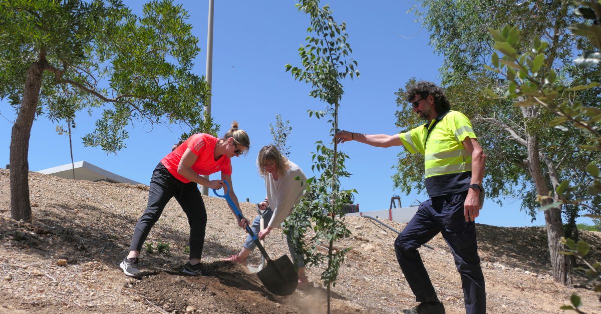 El CAT organitza una plantada darbres per commemorar el Dia Mundial del Medi Ambient
