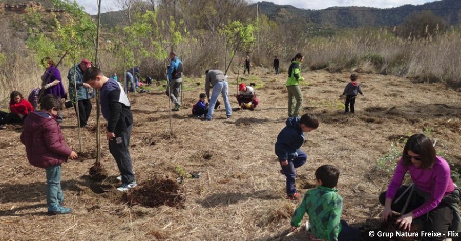 Es planten 150 salzes i aubes en una nova edici� de la Festa de l�Arbre a Riba-roja d�Ebre
