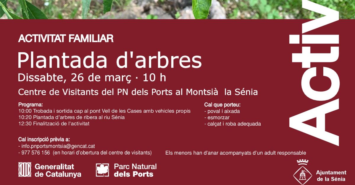 Plantada de �rboles de ribera en el r�o S�nia