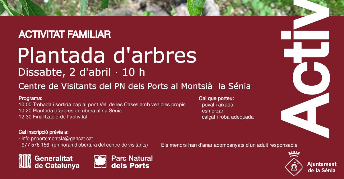 Activitat familiar: Plantada d�arbres