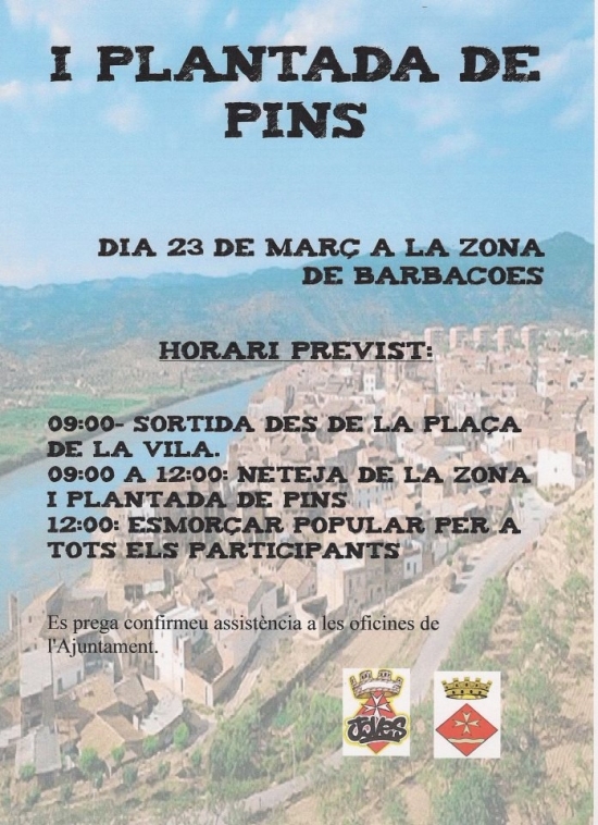 1a plantada de pins 1a plantada de pins