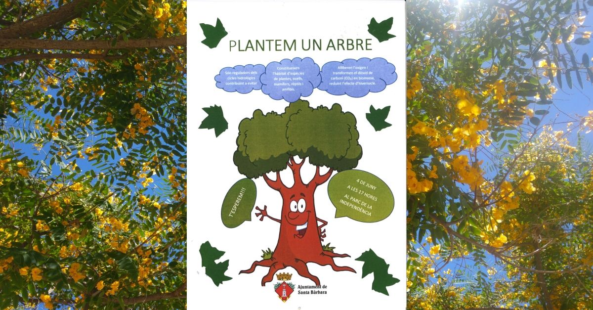 Plantemos un �rbol
