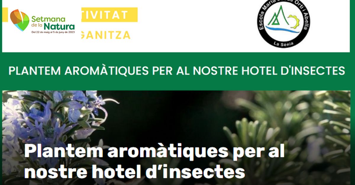 Setmana de la Natura: Plantem arom�tiques per al nostre hotel d�insectes