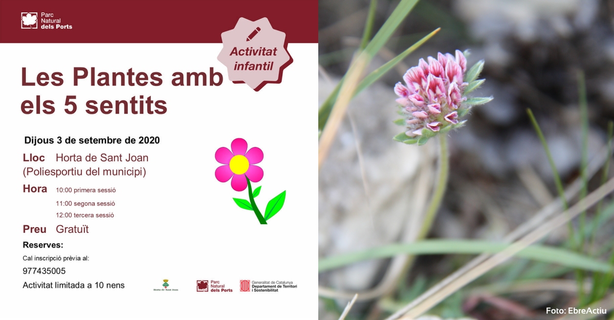 Les plantes amb els 5 sentits