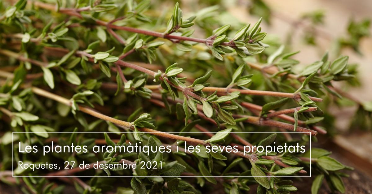 Las plantas arom�ticas y sus propiedades