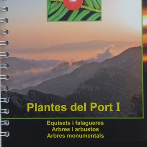 Plantes del port I. Equisets i falagueres. Arbres i arbustos. Arbres monumentals