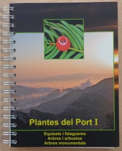 �Plantes del port I. Equisets i falagueres. Arbres i arbustos. Arbres monumentals� | EbreActiu.cat, revista digital d&rsquo;oci actiu | Terres de l&rsquo;Ebre ...