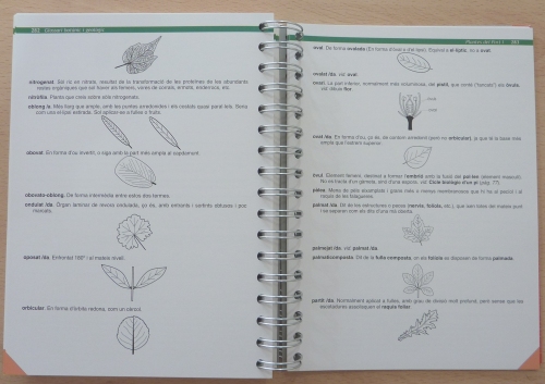 �Plantes del port I. Equisets i falagueres. Arbres i arbustos. Arbres monumentals� | EbreActiu.cat, revista digital d&rsquo;oci actiu | Terres de l&rsquo;Ebre ...
