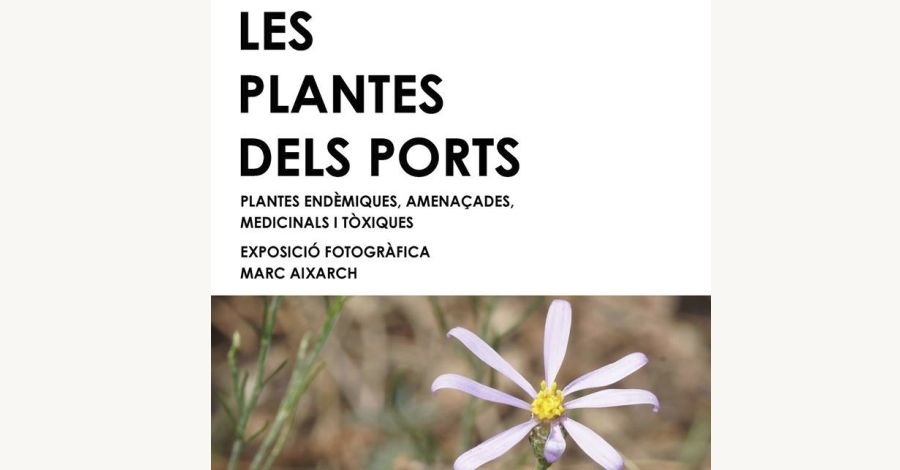 Exposici�n fotogr�fica: Las plantas de los Ports
