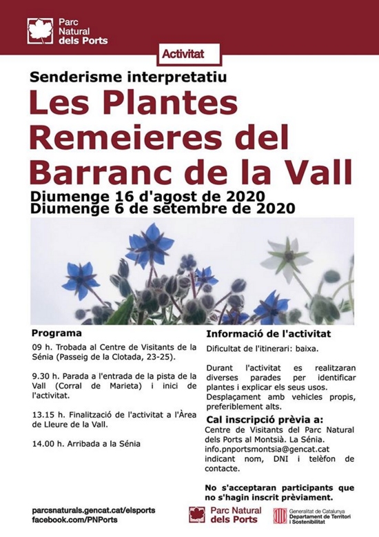 Sederisme interpretatiu: Les plantes remeieres del Barranc de la Vall Sederisme interpretatiu: Les plantes remeieres del Barranc de la Vall