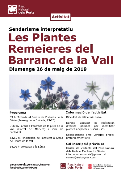 Les plantes remeires del Barranc de la Vall Les plantes remeires del Barranc de la Vall