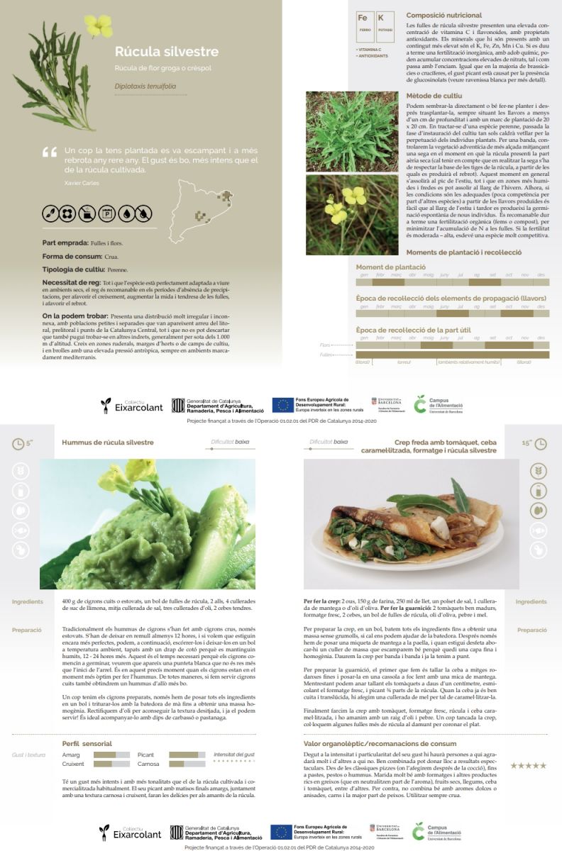 El Campus de l&rsquo;alimentaci� de la UB i el col�lectiu Eixarcolant difonen l&rsquo;inter�s gastron�mic de diferents esp�cies silvestres comestibles | EbreActiu.cat, revista digital d&rsquo;oci actiu | Terres de l&rsquo;Ebre ...