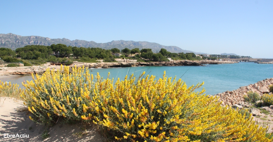 Un recorregut per les platges i cales de lAmetlla de Mar