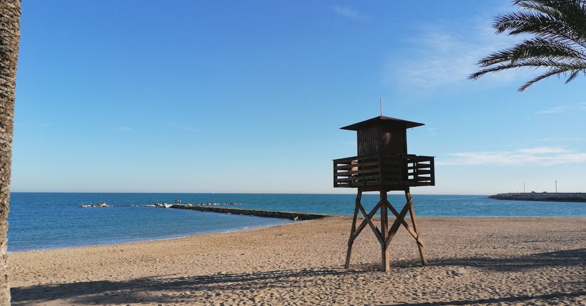 Vinars proposar habilitar les platges i cales per a les mascotes durant la temporada baixa