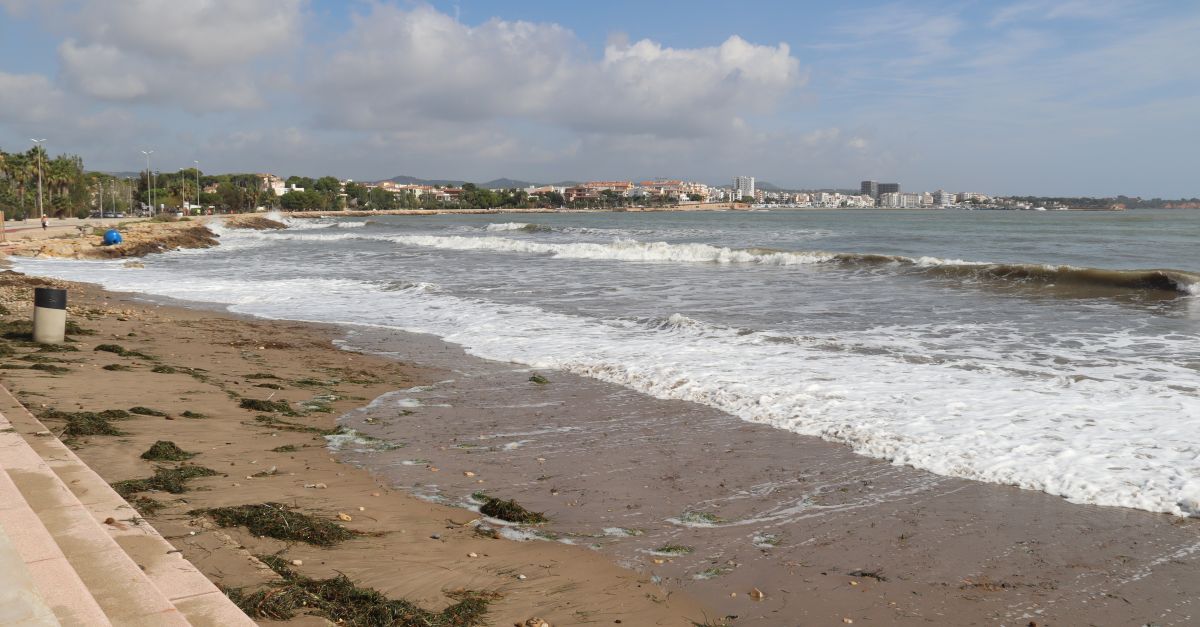 El govern espanyol licita la redacci del projecte per recuperar i renaturalitzar la platja de lArenal de lAmpolla