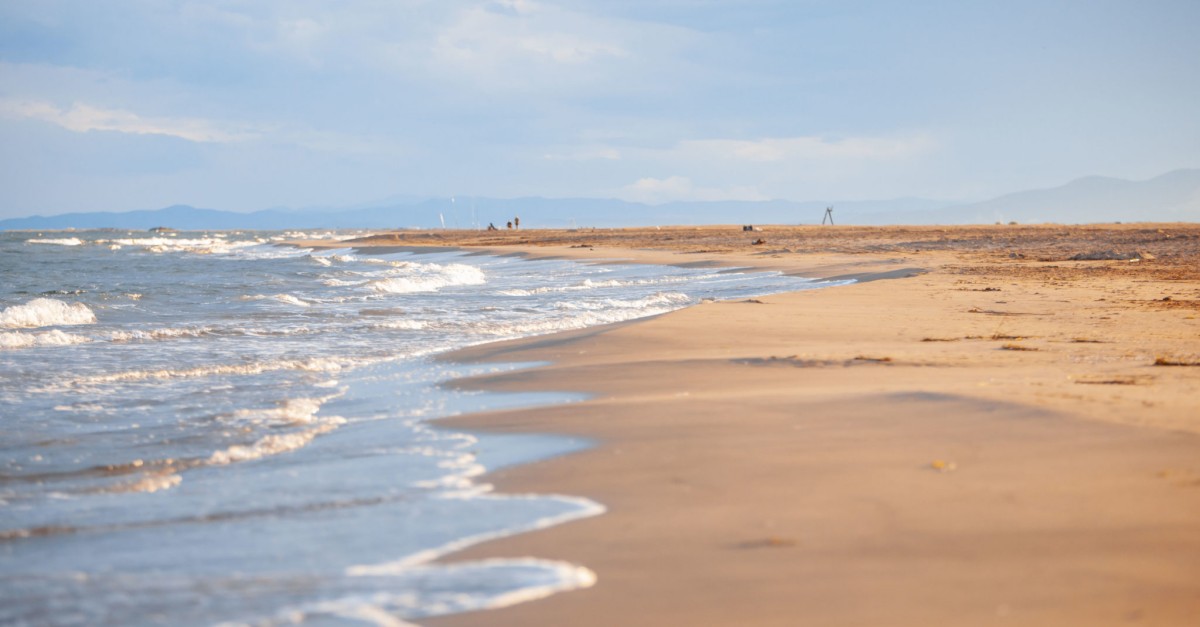 Arrenca la temporada de bany a la platja dels Eucaliptus d’Amposta amb noves mesures per protegir l’entorn natural | EbreActiu.cat, revista digital d’oci actiu | Terres de l’Ebre ...