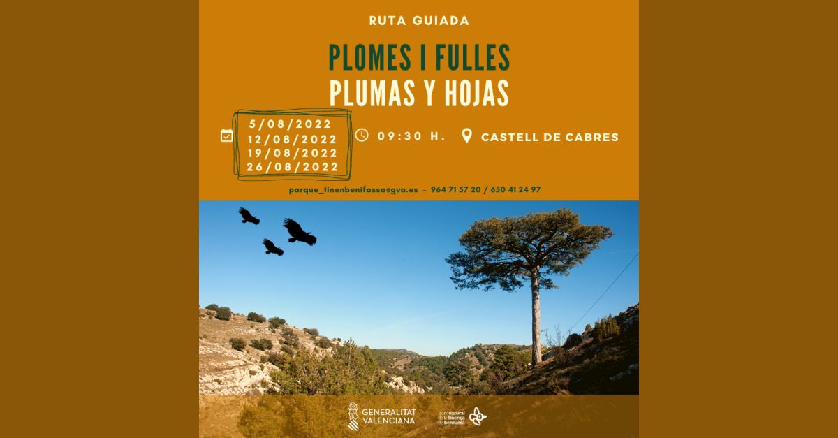 Ruta guiada Plomes i fulles Ruta guiada Plomes i fulles