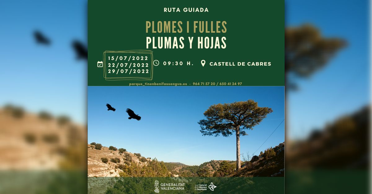 Ruta guiada Plomes i fulles Ruta guiada Plomes i fulles