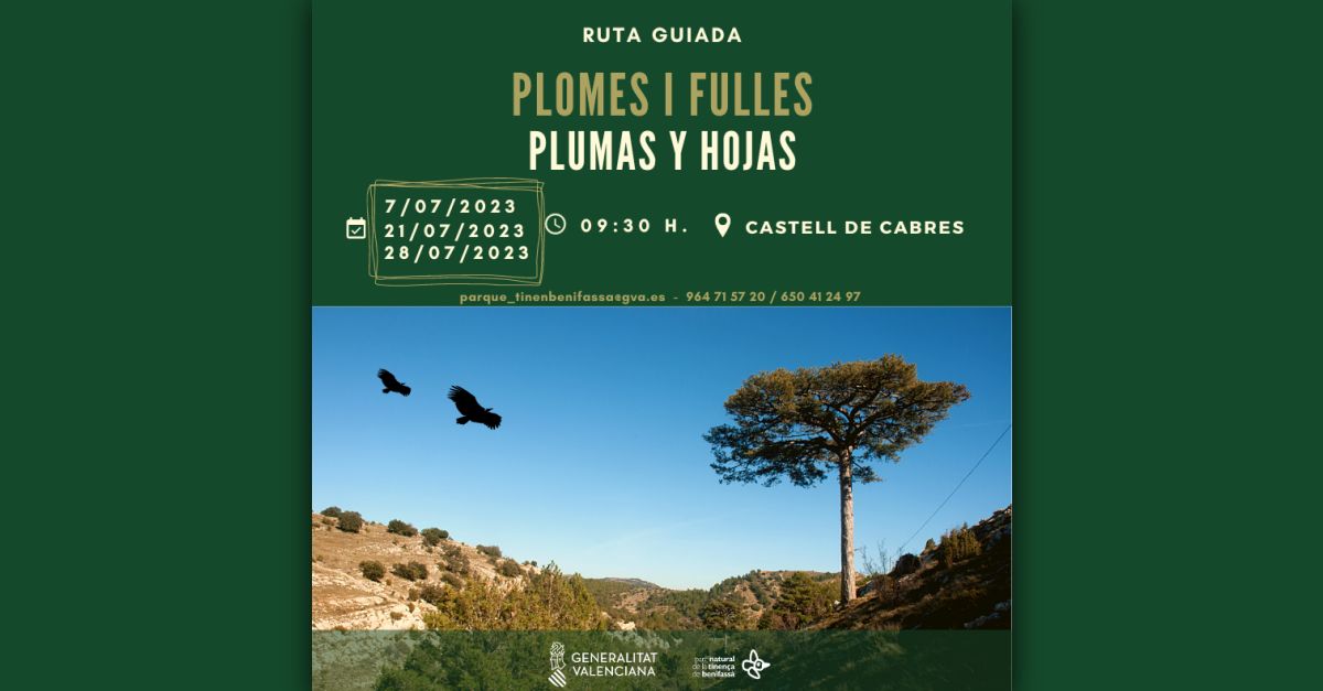Ruta guiada Plumas y hojas en la Tinen�a de Benifass�