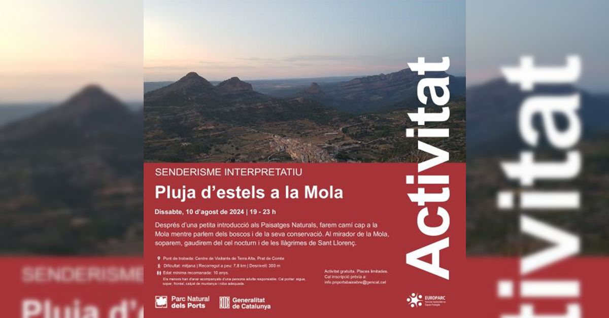 Pluja d�estels a la Mola