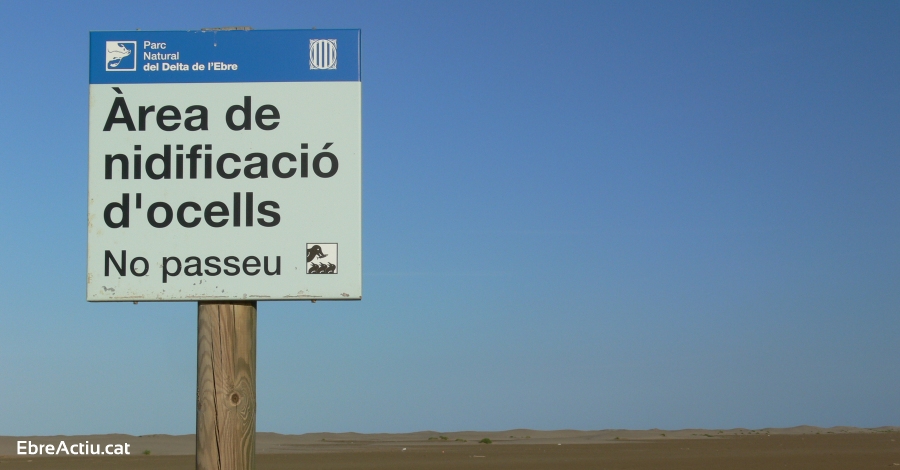 El Parc Natural del Delta de l’Ebre delimita les rees de nidificaci d’ocells marins i litorals