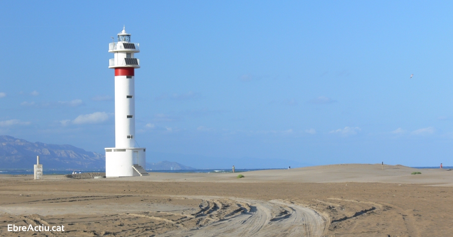 El Parc Natural del Delta de l&rsquo;Ebre delimita les �rees de nidificaci� d&rsquo;ocells marins i litorals | EbreActiu.cat, revista digital d&rsquo;oci actiu | Terres de l&rsquo;Ebre ...