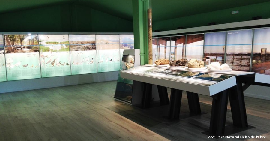 El Parc Natural del Delta de l’Ebre renova l’exposici permanent de l’Ecomuseu | EbreActiu.cat, revista digital d’oci actiu | Terres de l’Ebre ...