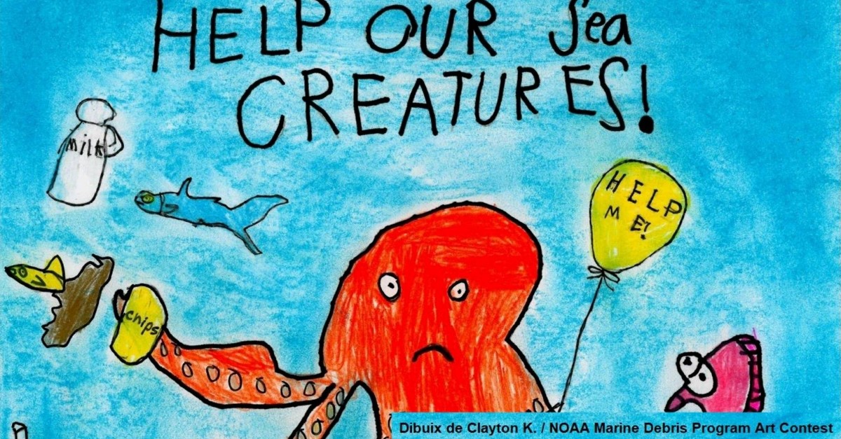 El Parc Natural del Delta de l’Ebre organitza el primer concurs de dibuix sobre brossa marina | EbreActiu.cat, revista digital d’oci actiu | Terres de l’Ebre ... El Parc Natural del Delta de l’Ebre organitza el primer concurs de dibuix sobre brossa marina | EbreActiu.cat, revista digital d’oci actiu | Terres de l’Ebre ...