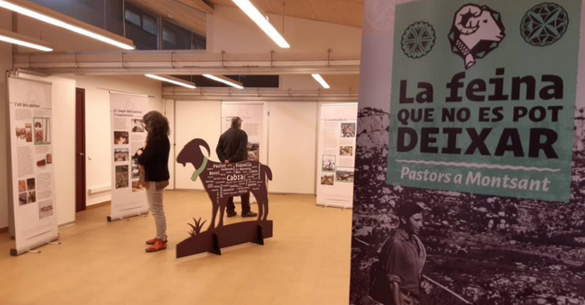 El Parc Natural de Montsant recupera l’activitat de pastura dins del seu mbit | EbreActiu.cat, revista digital d’oci actiu | Terres de l’Ebre ...