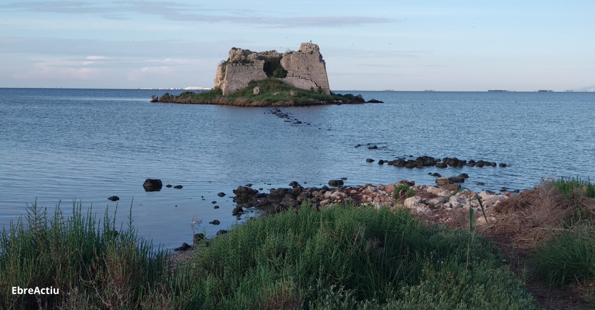 El Parc Natural del Delta de l’Ebre aprova el document de recomanacions al "Plan de Proteccin del Delta del Ebro" | EbreActiu.cat, revista digital d’oci actiu | Terres de l’Ebre ...