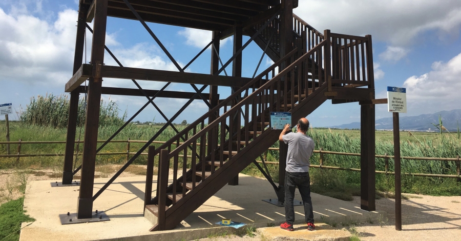 El Parc Natural del Delta de l&rsquo;Ebre delimita les �rees de nidificaci� d&rsquo;ocells marins | EbreActiu.cat, revista digital d&rsquo;oci actiu | Terres de l&rsquo;Ebre ...