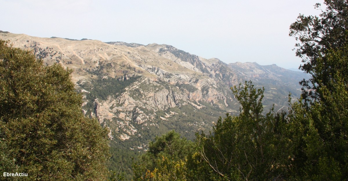 El Parc Natural dels Ports atorga més de 181.000 euros en ajuts per promoure els valors naturals i culturals del seu àmbit | EbreActiu.cat, revista digital d’oci actiu | Terres de l’Ebre ... El Parc Natural dels Ports atorga més de 181.000 euros en ajuts per promoure els valors naturals i culturals del seu àmbit | EbreActiu.cat, revista digital d’oci actiu | Terres de l’Ebre ...