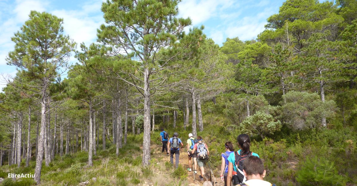 El Parc Natural del Ports presenta el nou Pla estratgic d’educaci i voluntariat ambiental