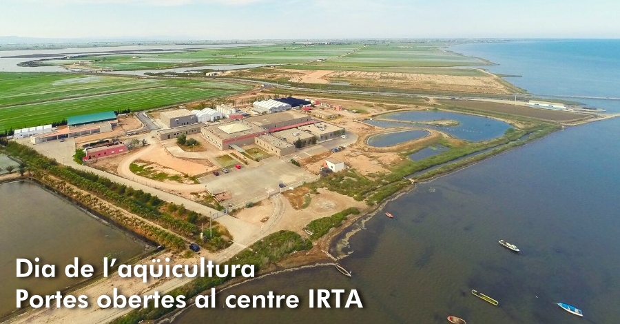 Dia de l�aq�icultura. Portes obertes al centre IRTA