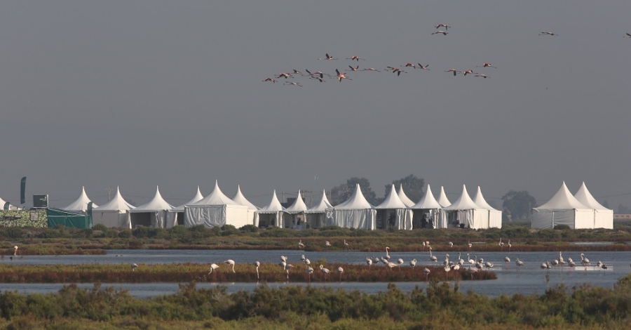 El Delta Birding Festival llena el delta del Ebro de ornitólogos y aficionados a la naturaleza | EbreActiu.cat, revista digital de ocio activo | Terres de l’Ebre... El Delta Birding Festival llena el delta del Ebro de ornitólogos y aficionados a la naturaleza | EbreActiu.cat, revista digital de ocio activo | Terres de l’Ebre...