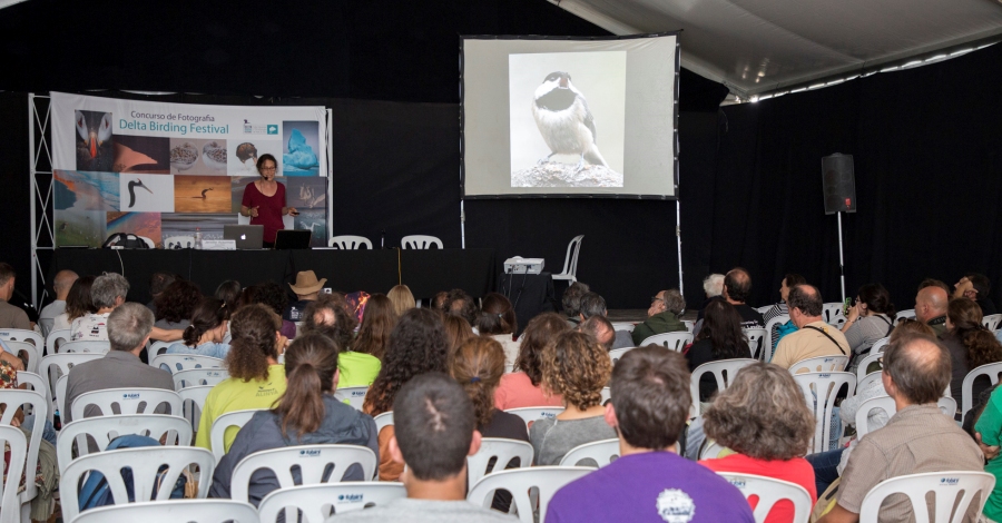 El Delta Birding Festival llena el delta del Ebro de ornitólogos y aficionados a la naturaleza | EbreActiu.cat, revista digital de ocio activo | Terres de l’Ebre... El Delta Birding Festival llena el delta del Ebro de ornitólogos y aficionados a la naturaleza | EbreActiu.cat, revista digital de ocio activo | Terres de l’Ebre...