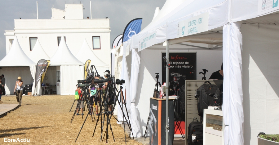 El Delta Birding Festival es consolida com a cita ornitol�gica ineludible, i segueix   creixent, tot i la pluja | EbreActiu.cat, revista digital d&rsquo;oci actiu | Terres de l&rsquo;Ebre ...