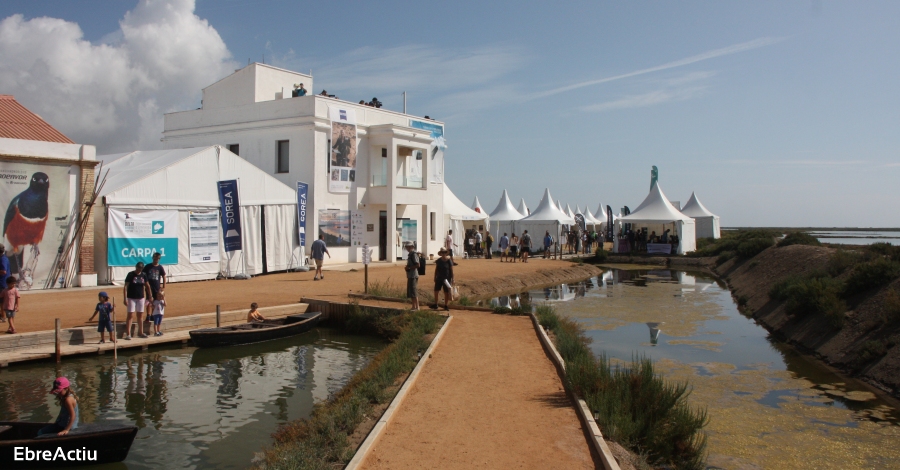 El Delta Birding Festival es consolida com a cita ornitolgica ineludible, i segueix   creixent, tot i la pluja | EbreActiu.cat, revista digital d’oci actiu | Terres de l’Ebre ...