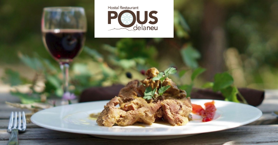 Hostal-Restaurant Pous de la Neu