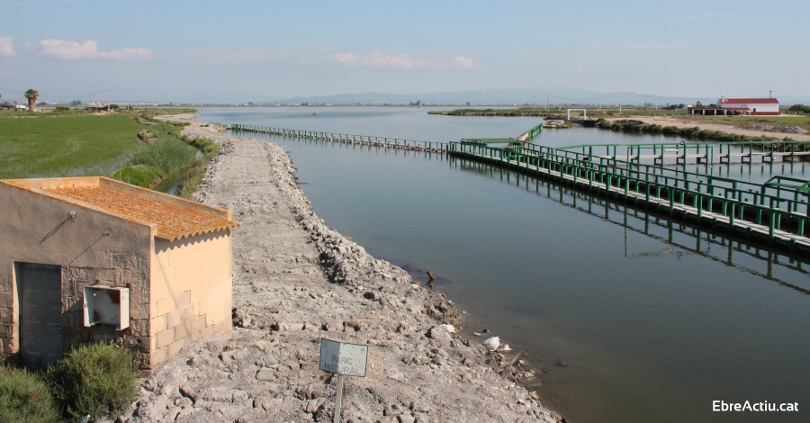 Presentació de la campanya 2019 «Per un Delta Net» | EbreActiu.cat, revista digital d’oci actiu | Terres de l’Ebre ... Presentació de la campanya 2019 «Per un Delta Net» | EbreActiu.cat, revista digital d’oci actiu | Terres de l’Ebre ...