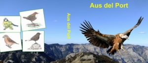 Presentaci� del llibre �Aus del Port�, de J. Antonio Muyas Bercet